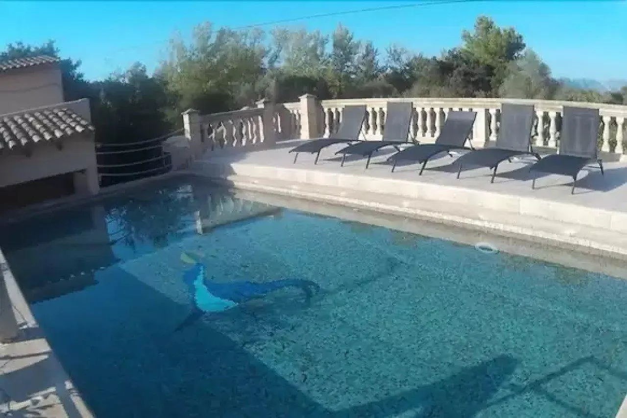 Villa Finca Can Roig Gran Alcudia